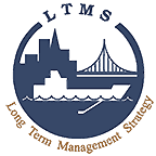 Long Term Management Strategy Logo